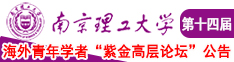 啊啊啊日逼视频南京理工大学第十四届海外青年学者紫金论坛诚邀海内外英才！